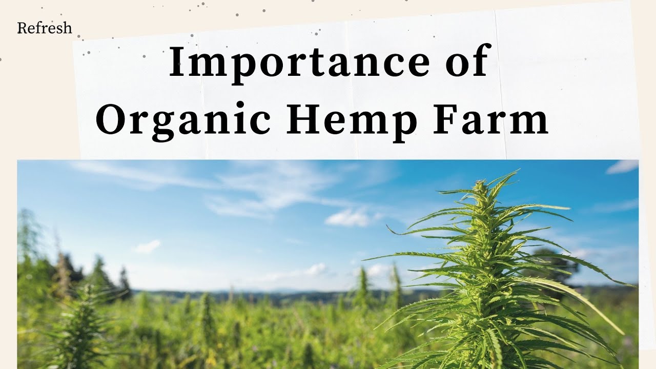 Importance of Organic Hemp Farm | Clean Ingredients Matters | Refresh CBD Organic Farm