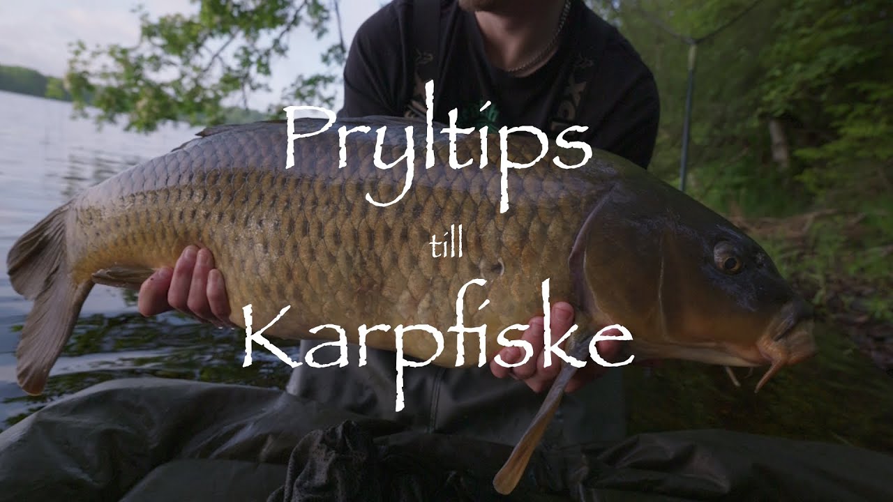 Pryltips till Karpfiske