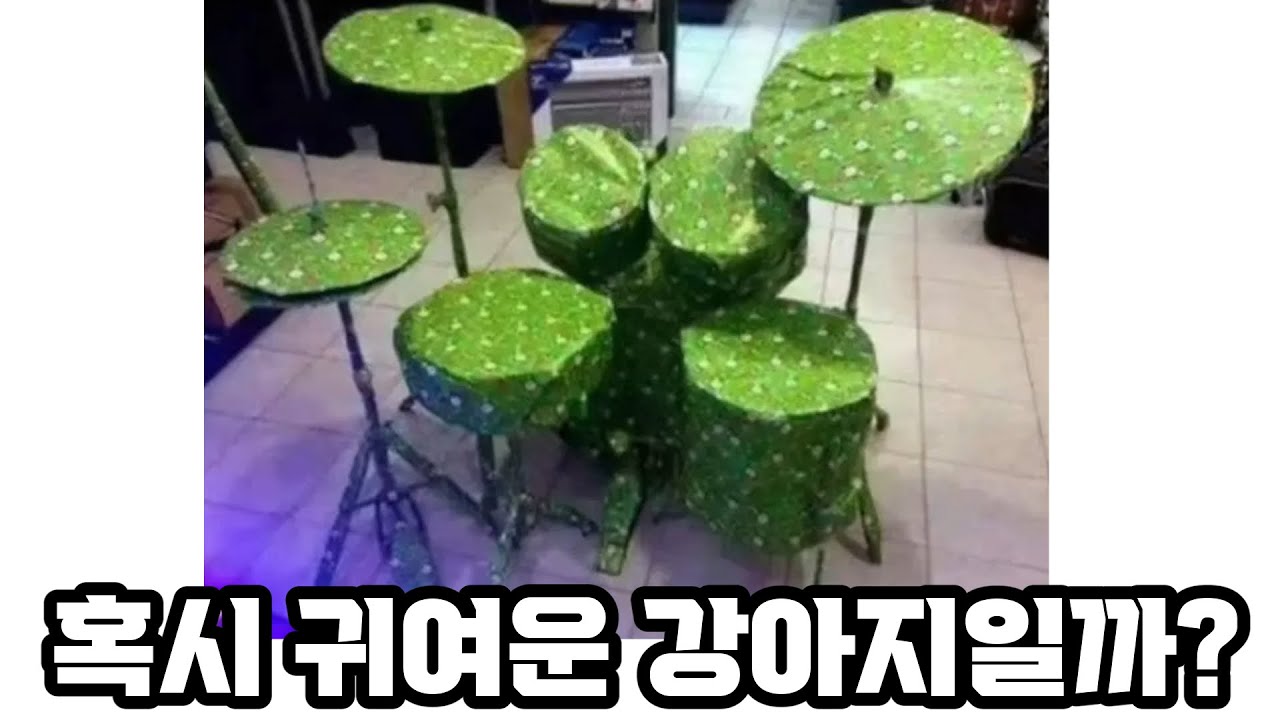 여자친구가 준비한 서프라이즈 선물