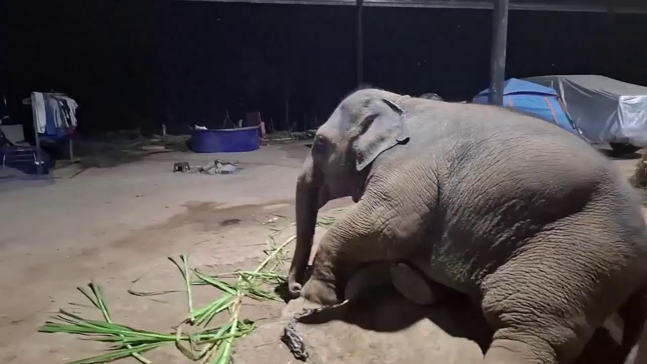 โอบบุญเดินเที่ยวคับ