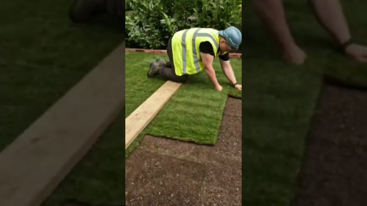 how to lay turf UK #lawn #grassturf