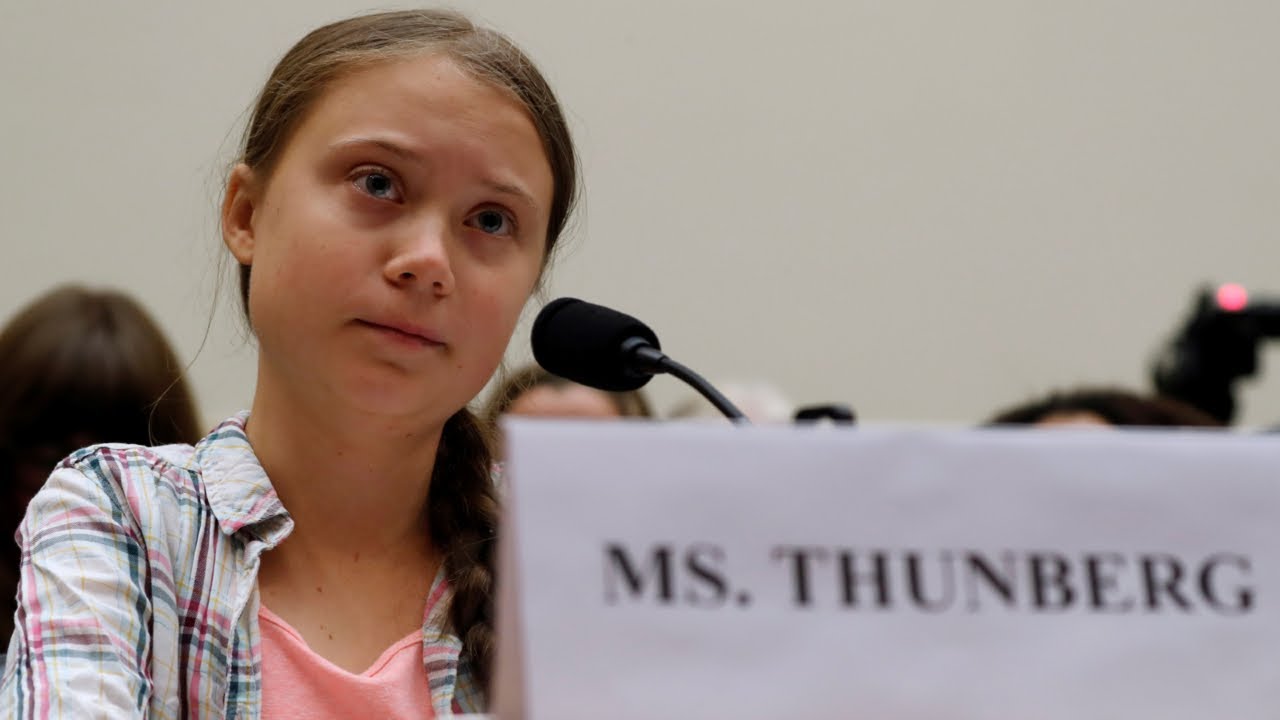 Greta Thunberg ‘making millions’ out of being arrested