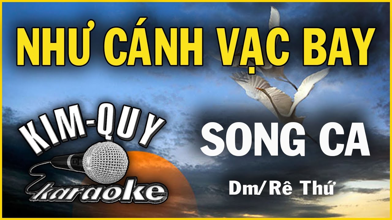NHƯ CÁNH VẠC BAY - KARAOKE - SONG CA ( Dm/Rê Thứ )