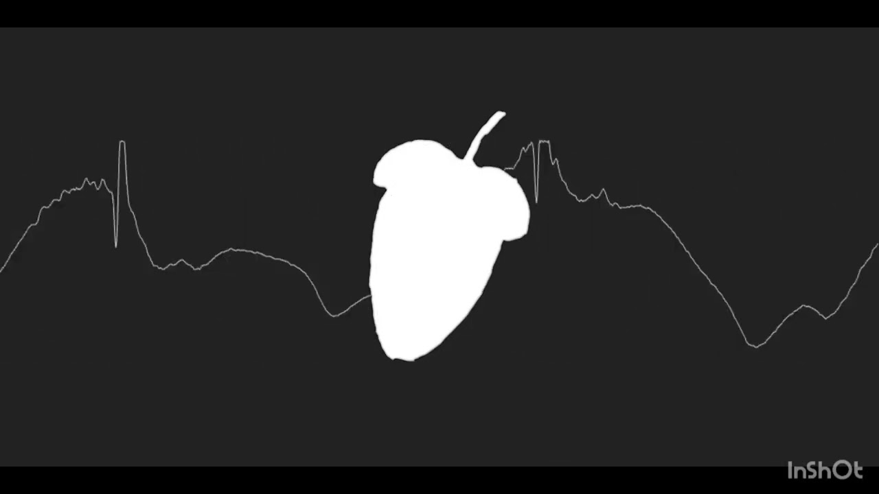 尻穴.flm