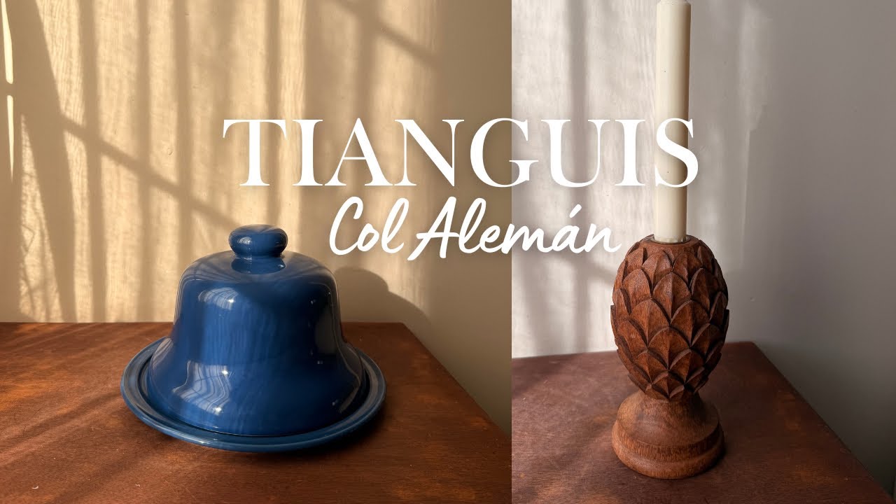 💙✨Regresando al TIANGUIS de la colonia Alemán | Nataly Guerrero 