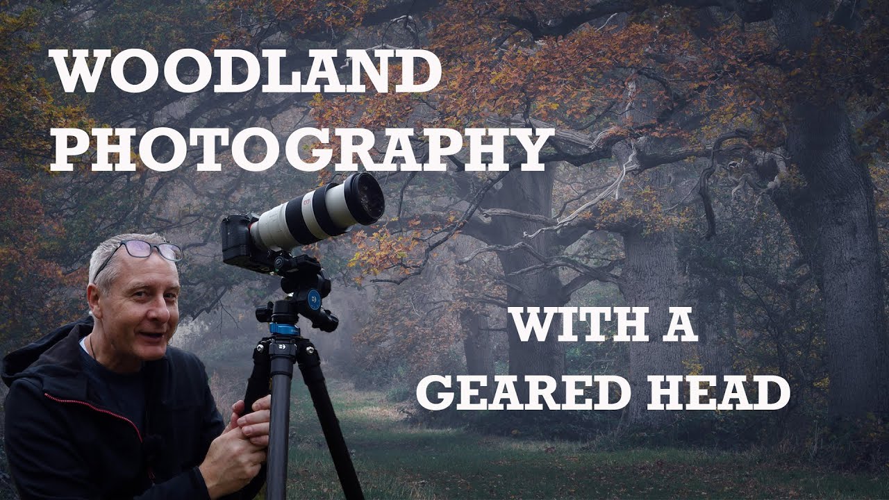 Why I chose a Benro Geared Head for Woodland Photography