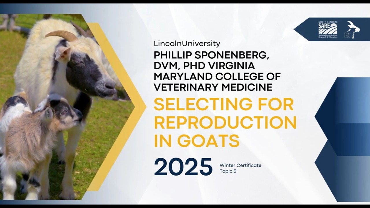 Topic 3 Dec 1, 2025. Selecting for reproduction in goats