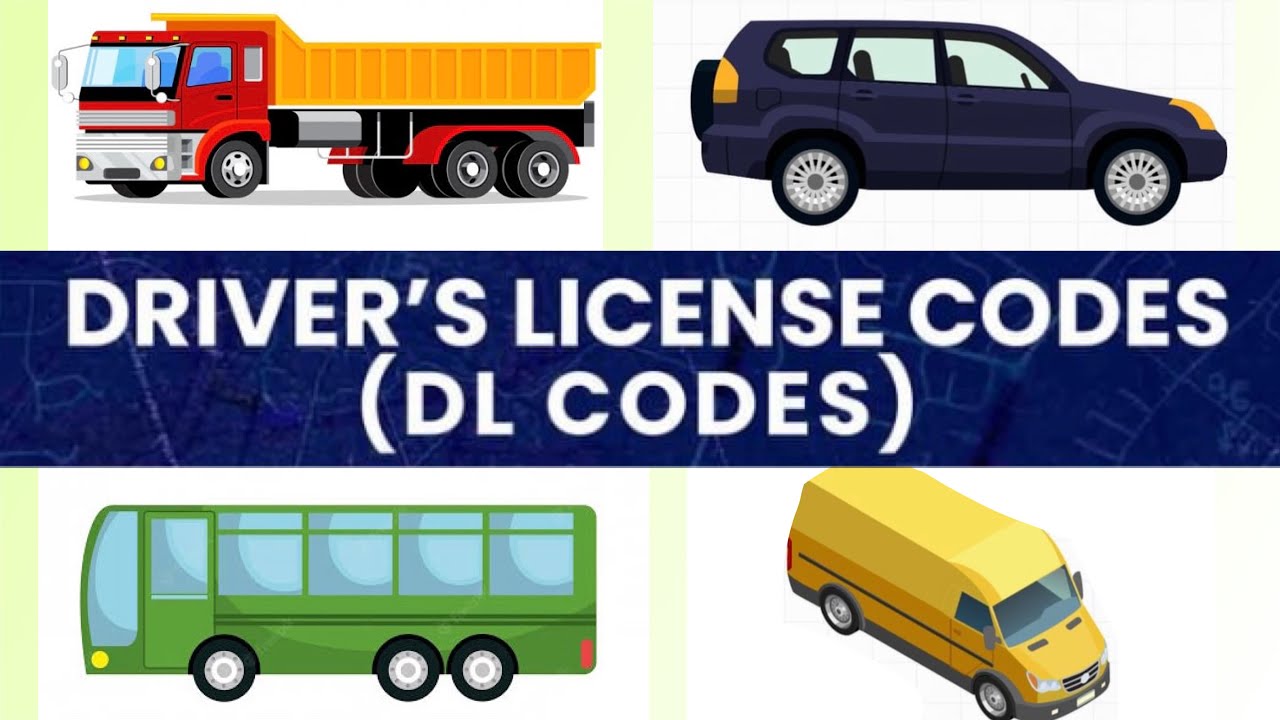 LTO DRIVER&rsquo;S LICENSE CODE || NEW DRIVER&rsquo;S LICENSE CODE IN THE PHILIPPINES || DL CODE IN THE PHILS