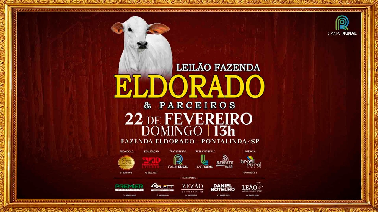 LOTE 43   CGAL 2980,2994