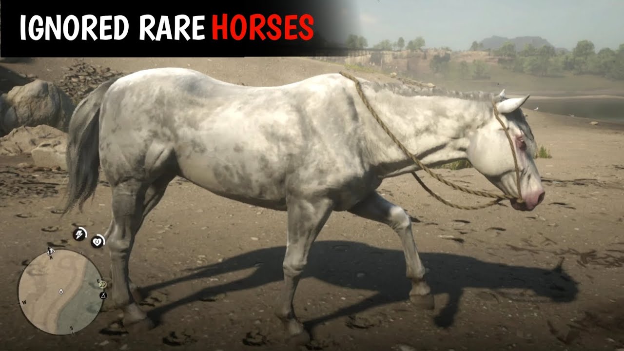 4 Ignored Rare Horses With Location - RDR2
