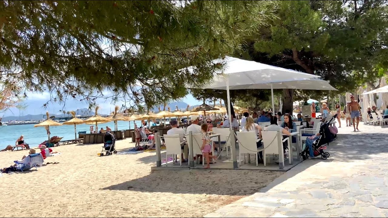 Port de Pollença 🩵 Top Ort auf Mallorca 🇪🇸 Strand & Promenade 🩵 einfach traumhaft 🌴 hübsch 🩵
