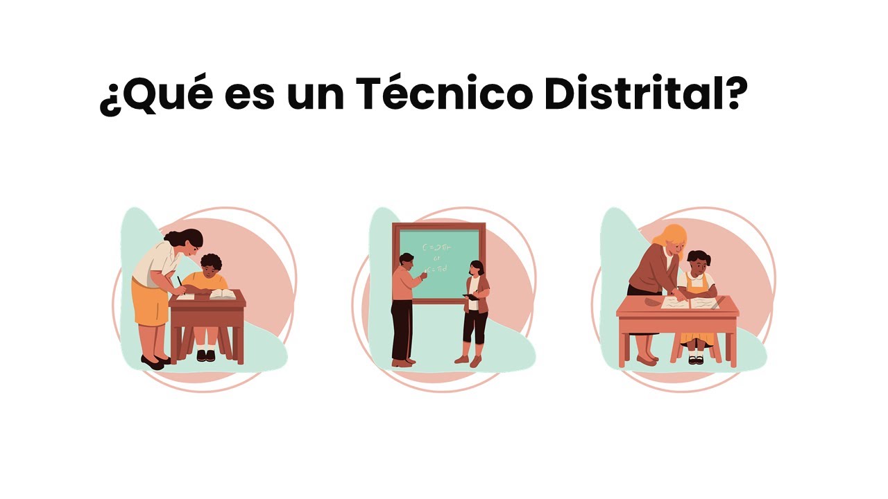 ¿Qué es un técnico Distrital? ¿Cuáles son sus funciones?