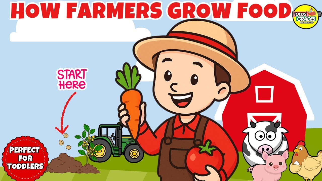 How Farmers Grow Food for Kids| Fun Science video for Kids!