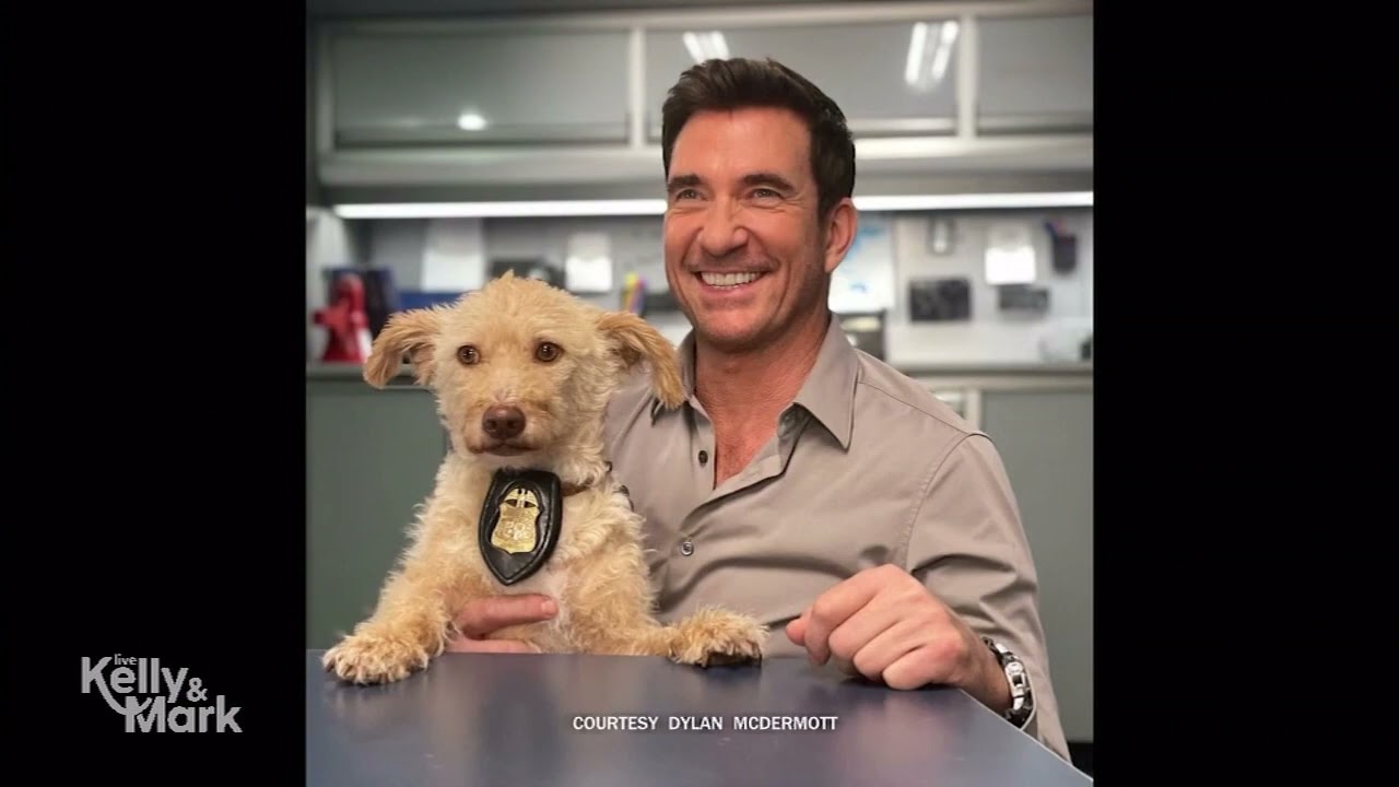 Dylan McDermott Spent Valentine’s Day With His Dog Otis