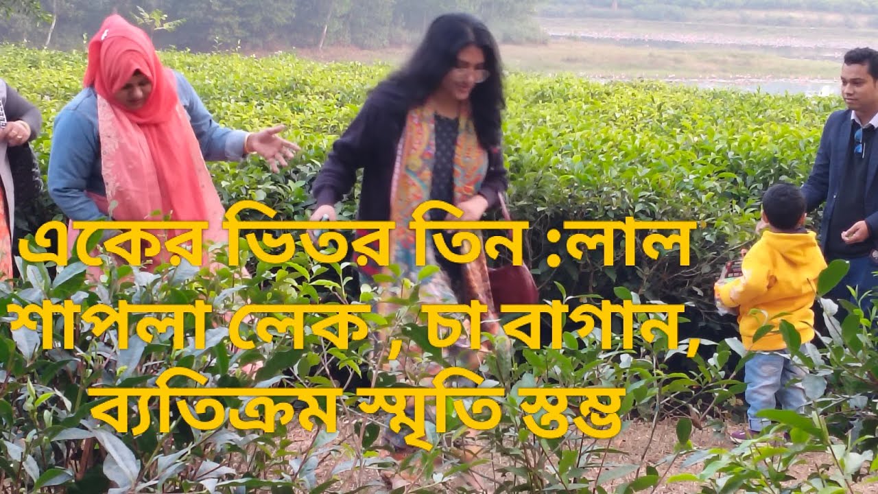 তেইলিয়াপাড়া চা বাগান লাল শাপলা লেক , মুক্তিযুদ্ধের স্মৃতি ব্যতিক্রম স্তম্ভ, মাধবপুর হবিগঞ্জ।