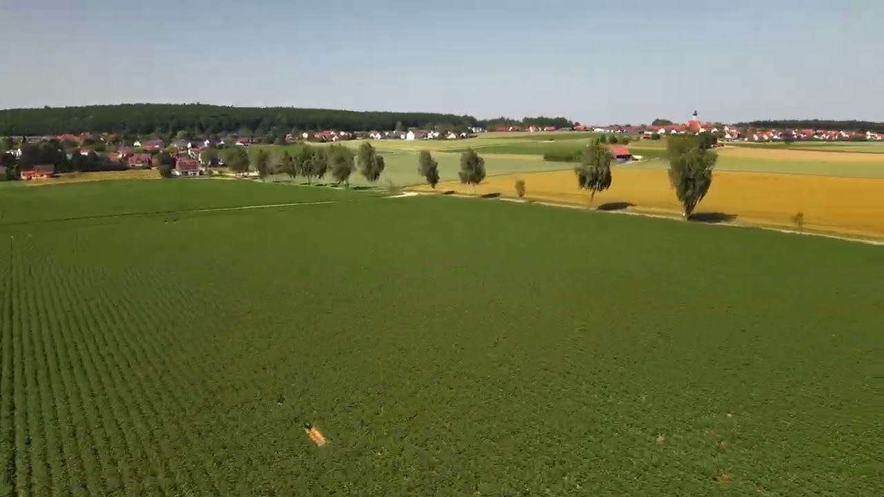 Germany 2025, summertime