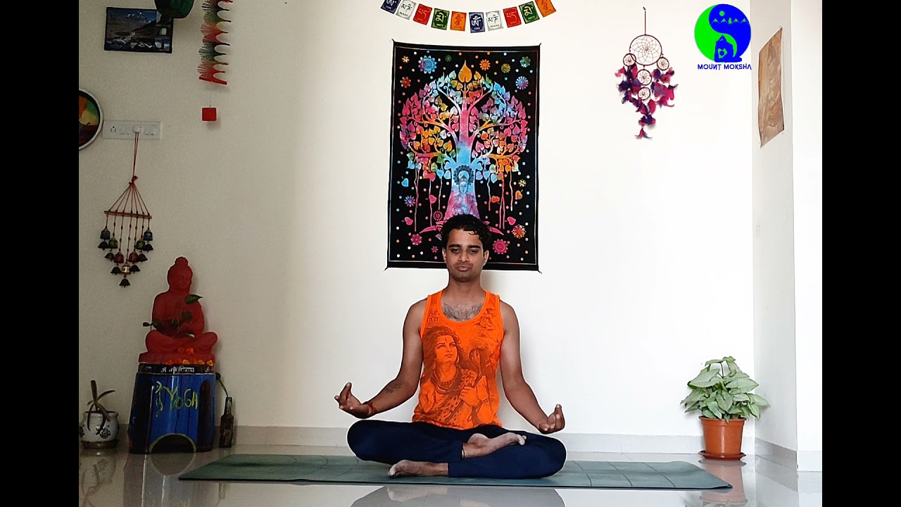 Sivananda HATHA Yoga practice/Yoga Flow/One hour yoga practice 🕉