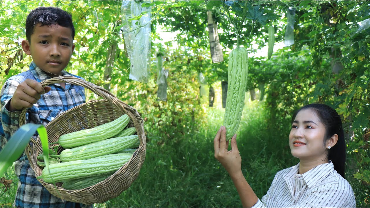 Fresh Bitter Gourd Recipe / Bitter Gourd Salad With Shrimps/ Prepare By Countryside Life TV
