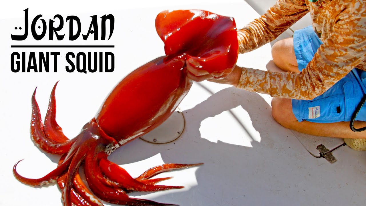 Searching for Giant Squid | Jordan - Original Film