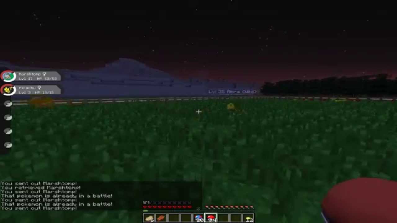 Pokeblock - Coraz bliżej bycia mistrzem