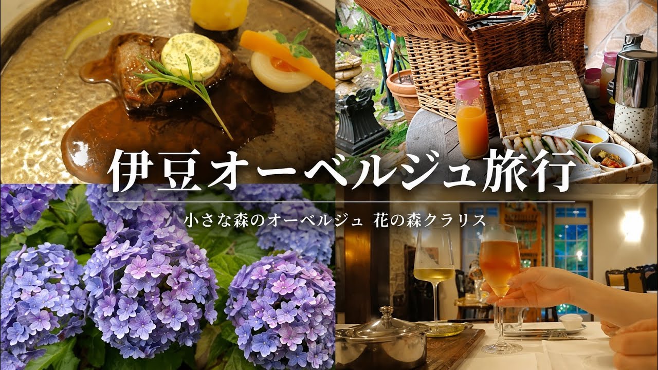 【伊豆旅行Vlog】マタ旅で訪れた人生はじめてのオーベルジュ宿が最高すぎた🇫🇷🍽️｜花の森クラリス｜FUJIMI CAFE ｜あじさい祭【妊娠6ヶ月】