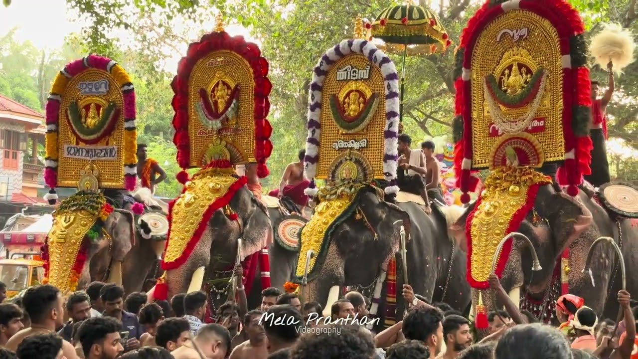 Kattakampal Pooram 2025