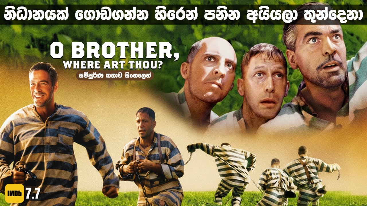 ඩොලර් මිලියන 1.2 ක නිධානයක් ගොඩගන්න හිරෙන් පනින අයියලා තුන්දෙනා 🤑| Sinhala Movie Review