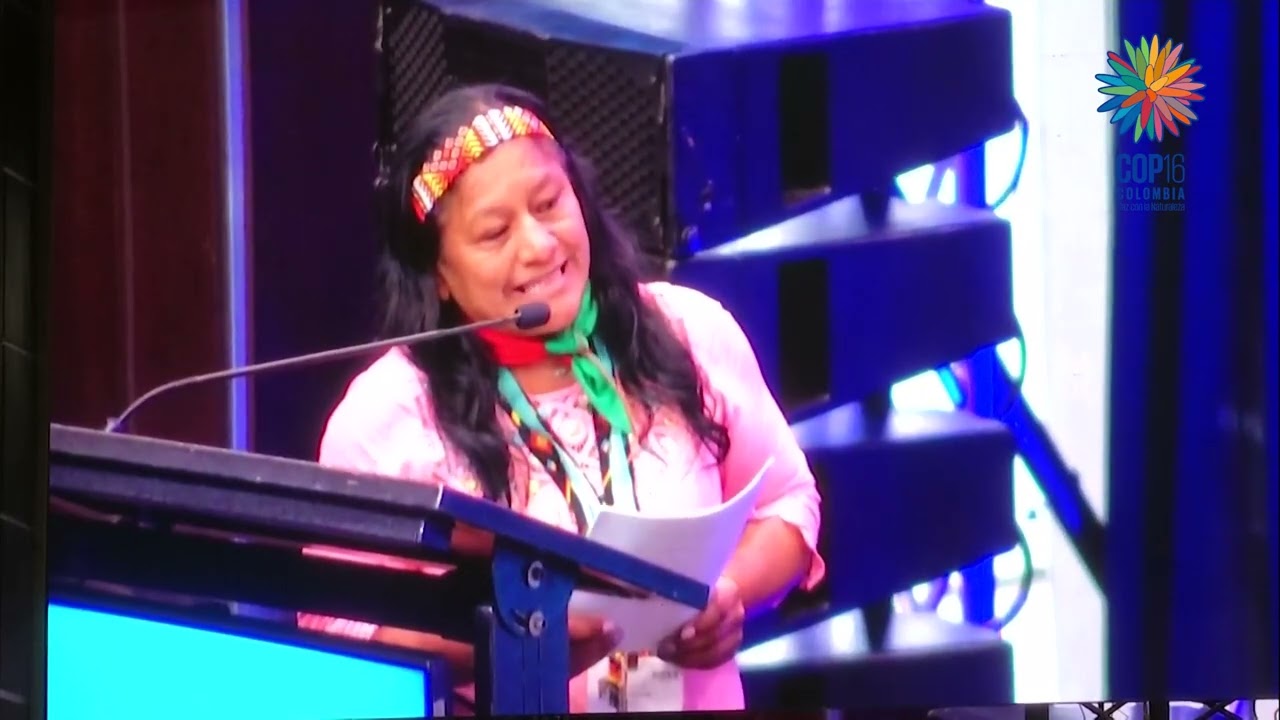 COP 16 I Discurso de la Senadora Aida Quilcu&eacute; I 23 de octubre 2024