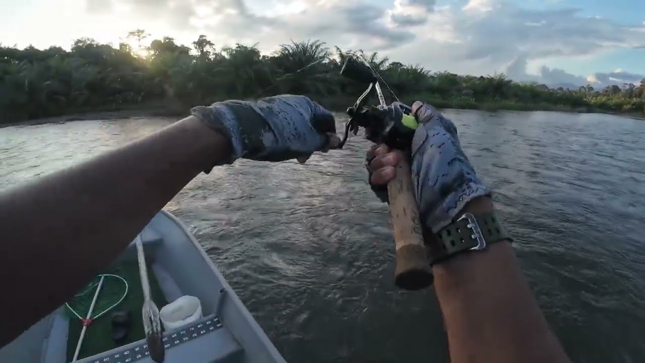 Test Power Abu Garcia Zenon Core BF7  #wildstream #streamfishing #zenon #core