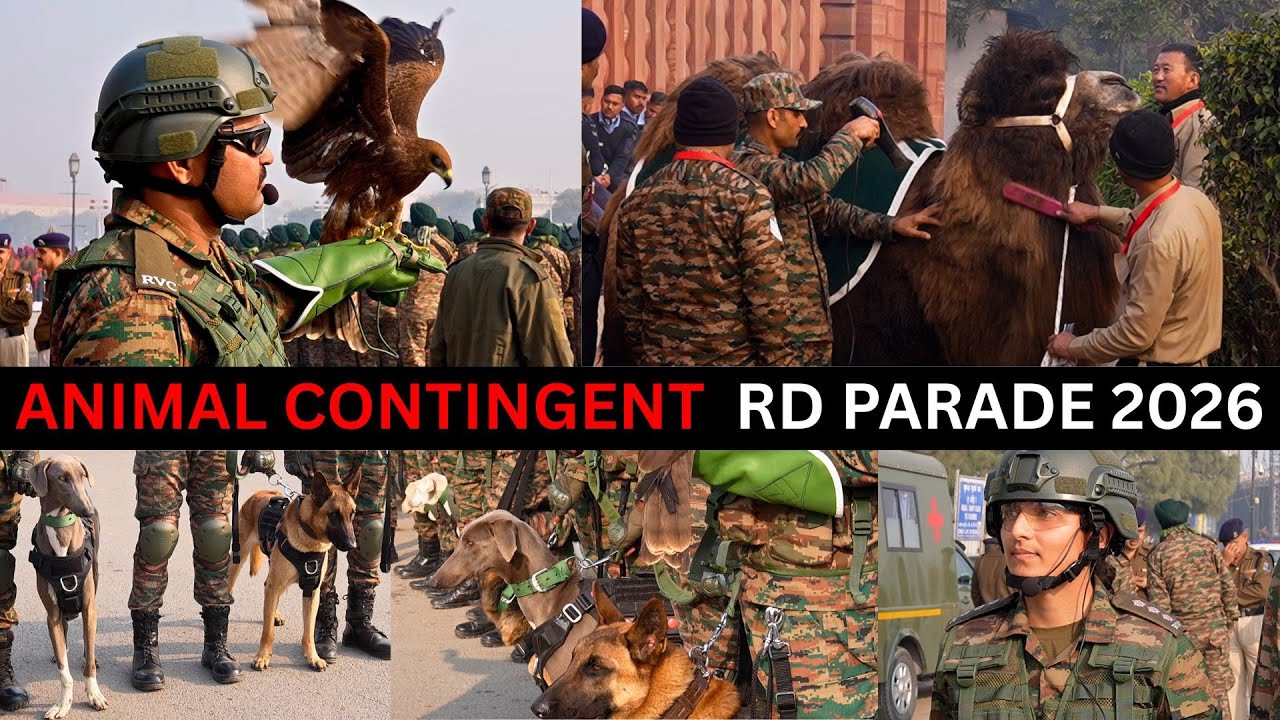 Indian Army's Animal Contingent | Republic Day Parade 2026 | RVC | Contingent Commander Interview