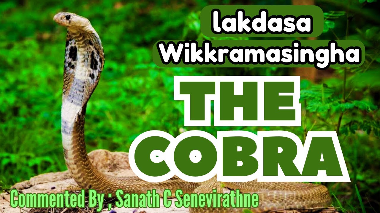 The Cobra by Lakdasa Wikkramasinha