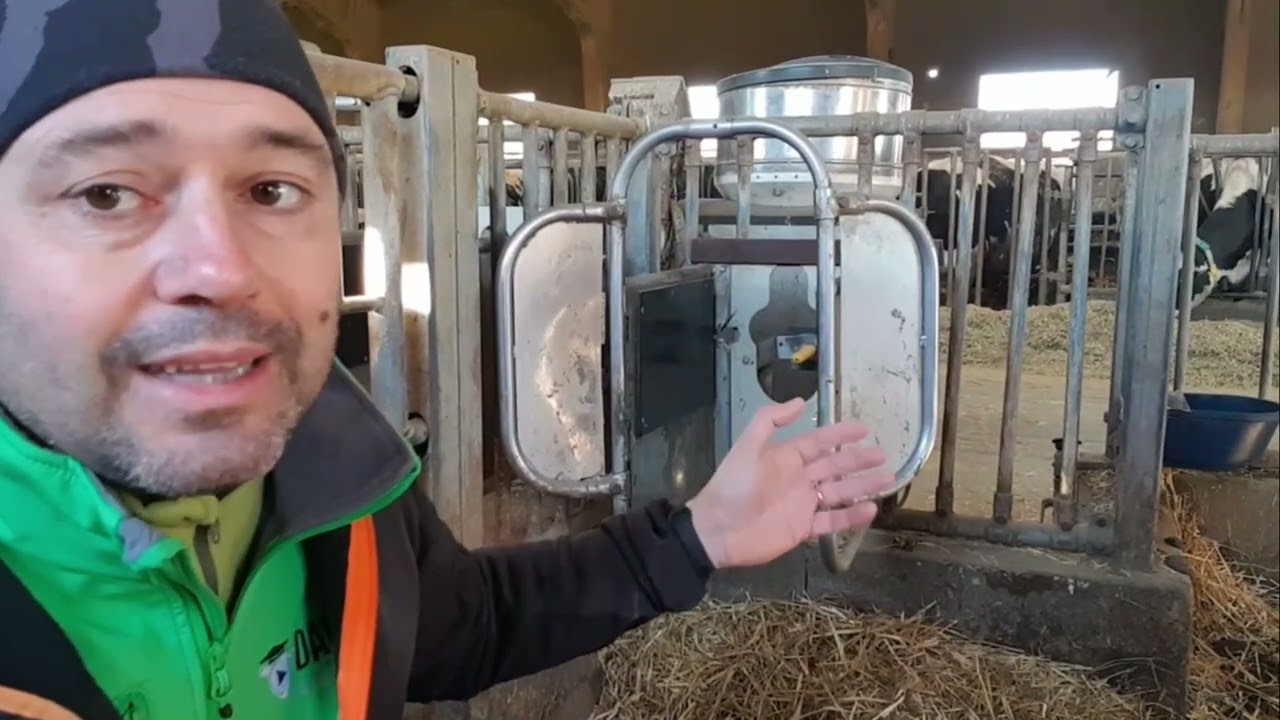 La allattatrice automatica per vitelli