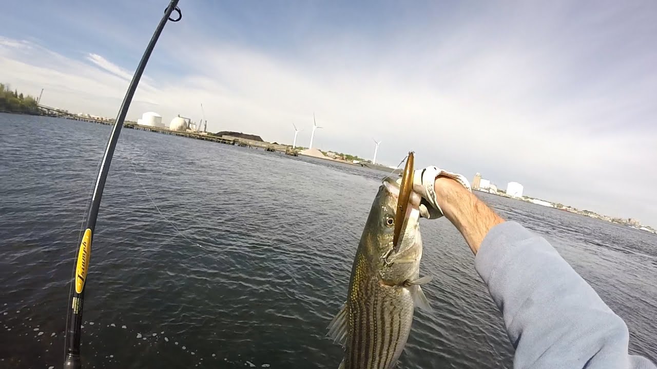 SP Minnow Striped Bass Fishing. Upper Narragansett Bay 05/18/2016