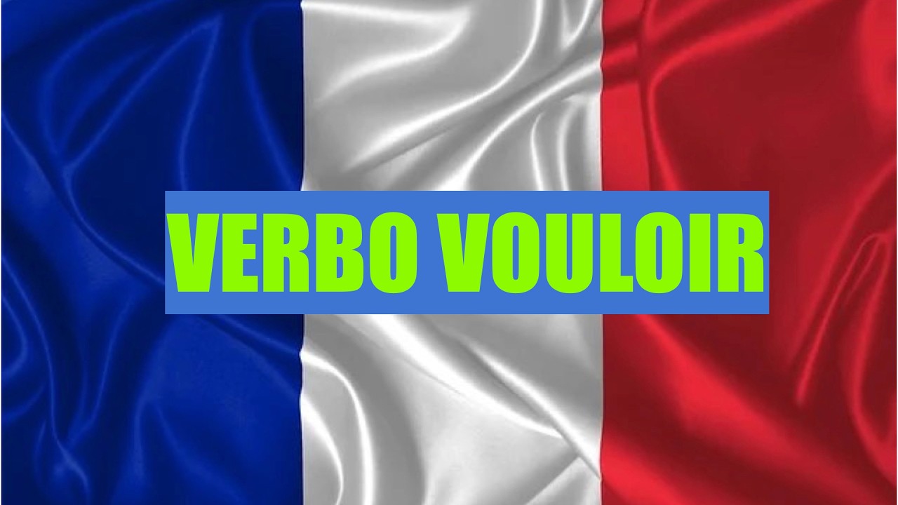 VERBO VOULOIR (AFIRMACION Y NEGACION) PRESENTE, PASADO COMPUESTO Y PASADO IMPERFECTO