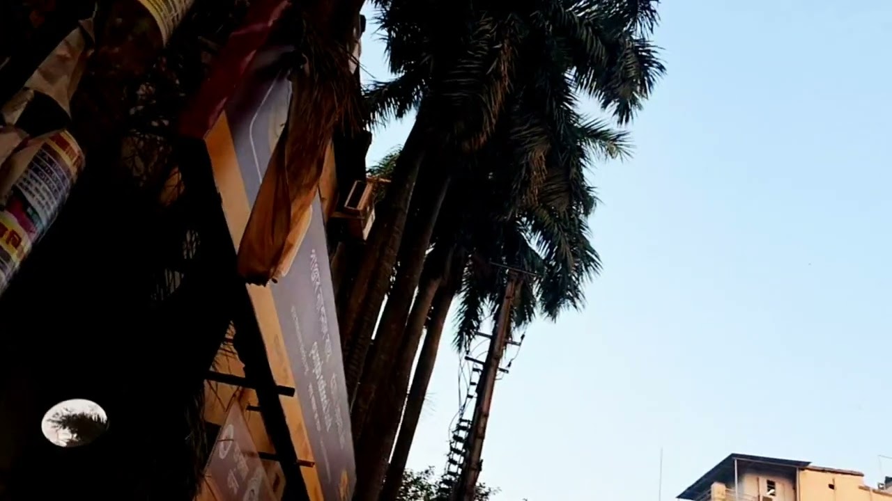 প্রথম চাকরি কিভাবে পেলাম 
