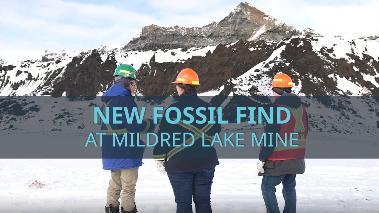 New fossil find at Mildred Lake mine