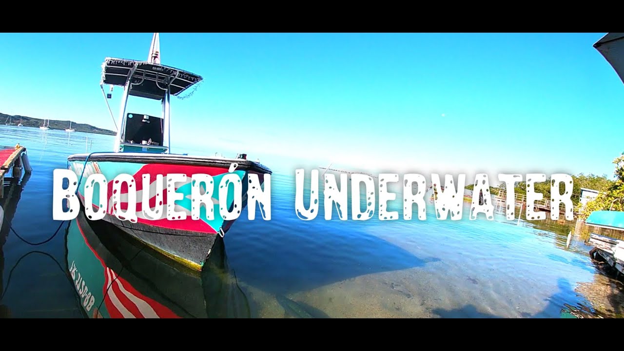 Boqueron Underwater