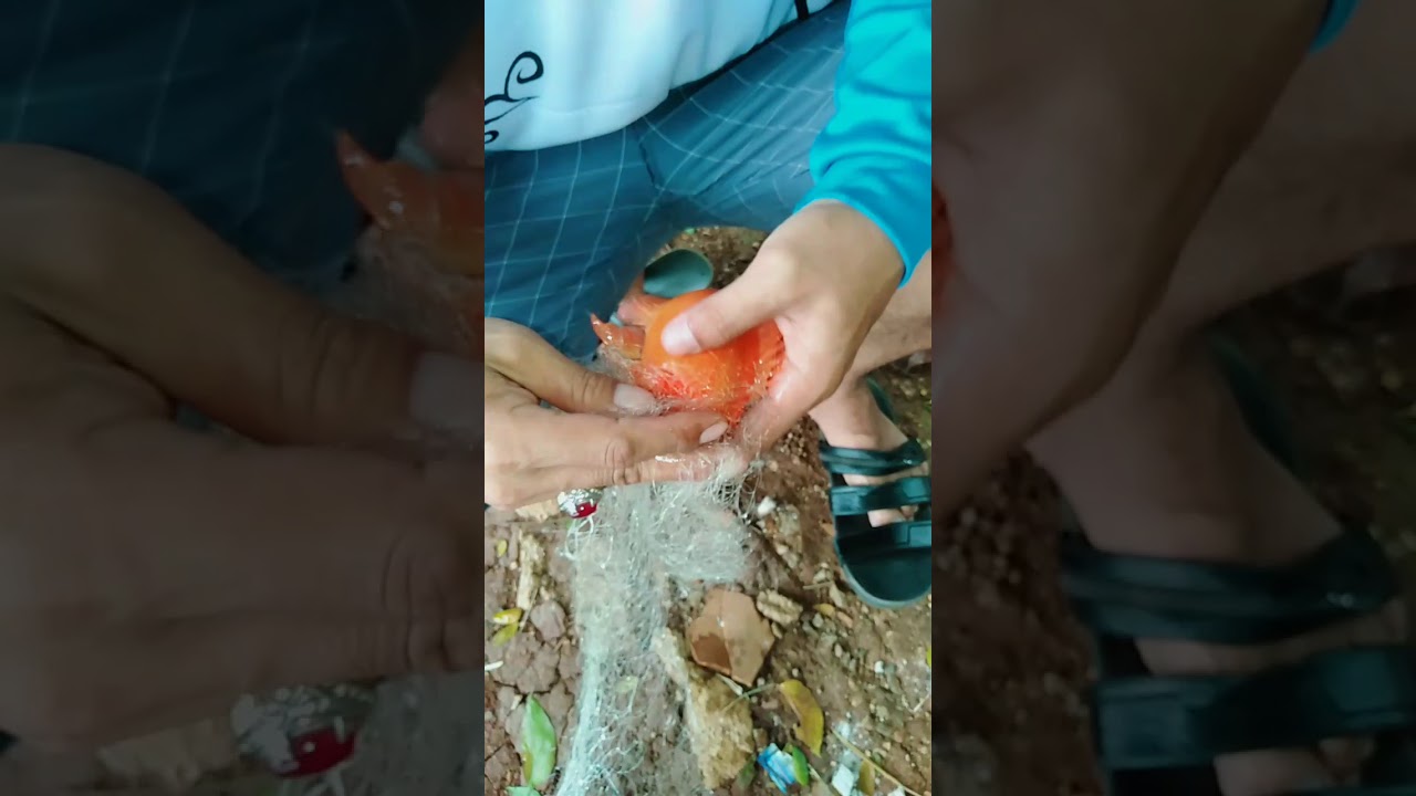 Mancing ikan di Setu babakan