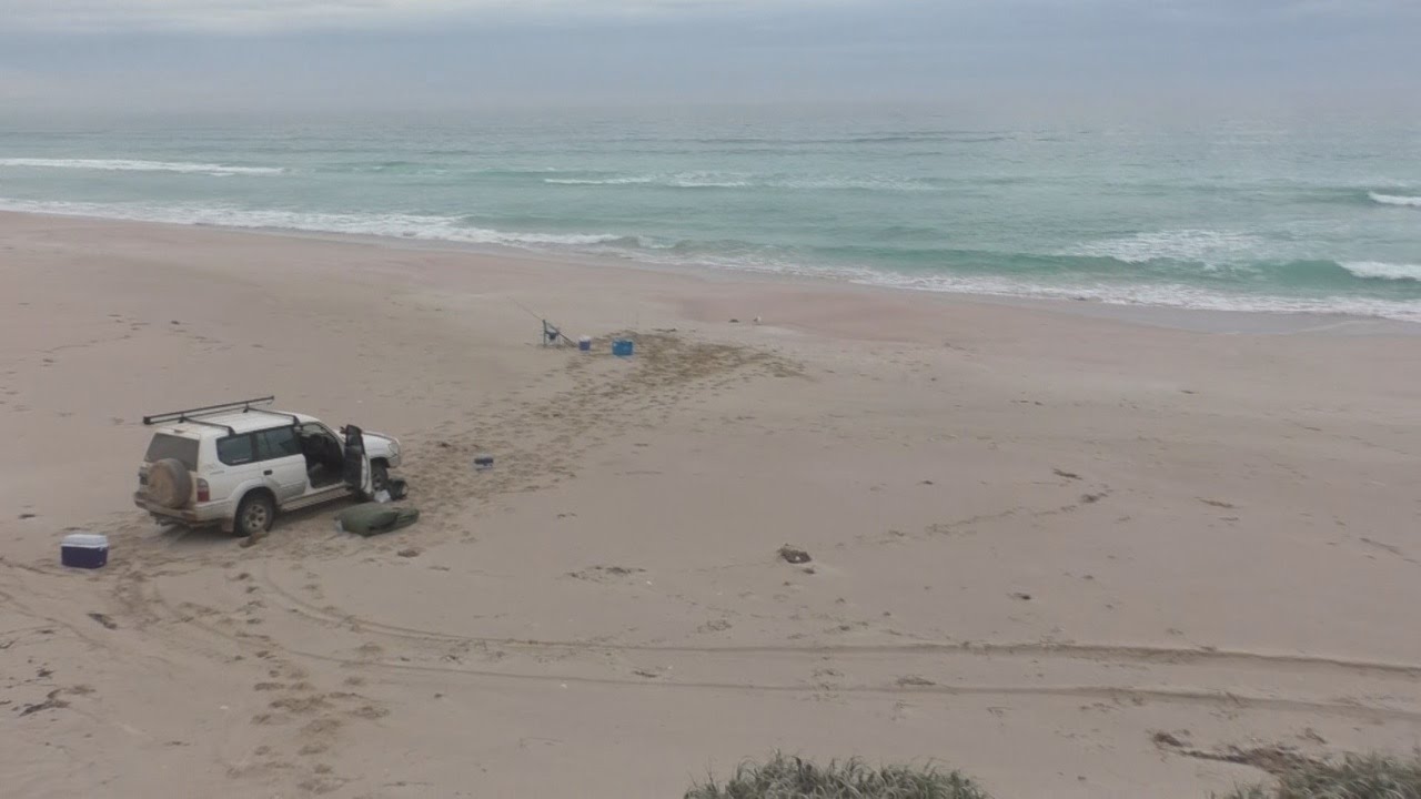 The Mighty Mulloway Quest: Episode 2 - Gummies Galore!