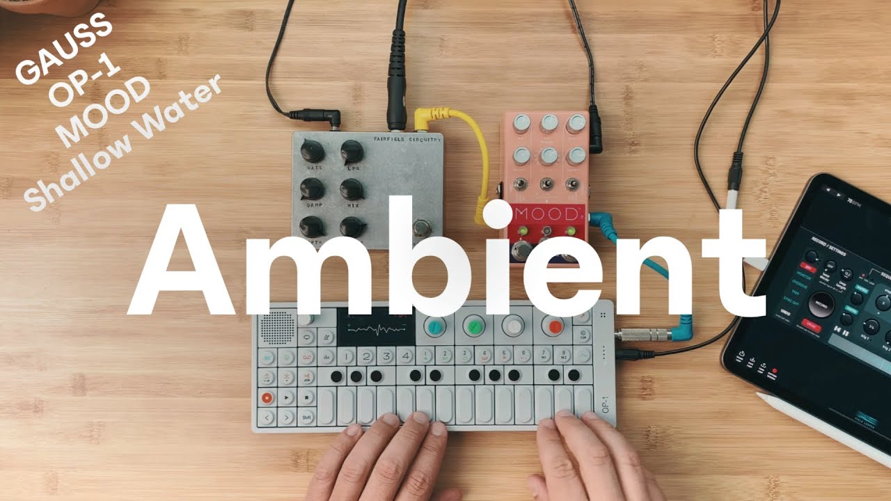 Ambient w/ GAUSS Field Looper & OP-1