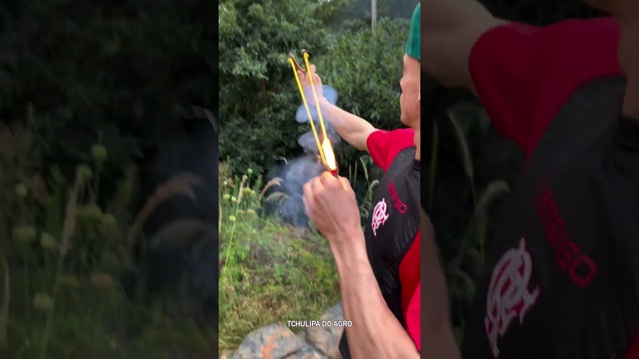 BLOWING UP A WASPS NEST WITH A FIRECRACKER