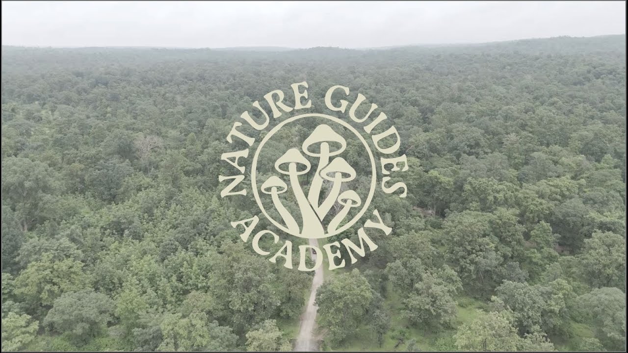 Nature Guides Academy (India) & its Professional Safari Guide Course. www.natureguides.in