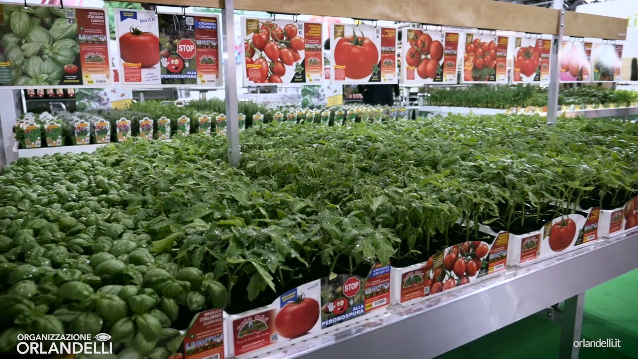 orlandelli.it - myplant & garden 2017 - short version
