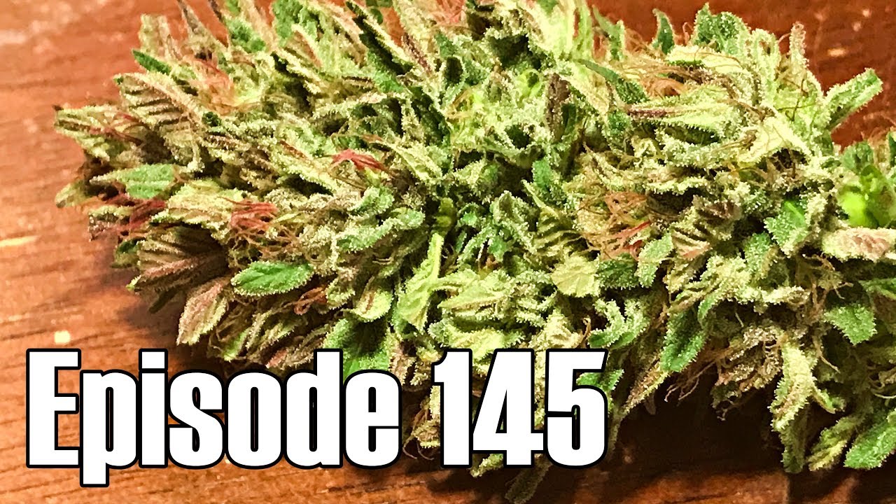 Blue City Diesel Harvest - Episode 145