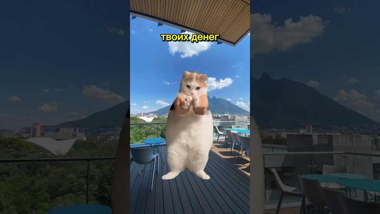 Мистер бист ?#рек #youtube #viralvideo #funny #mrbeast