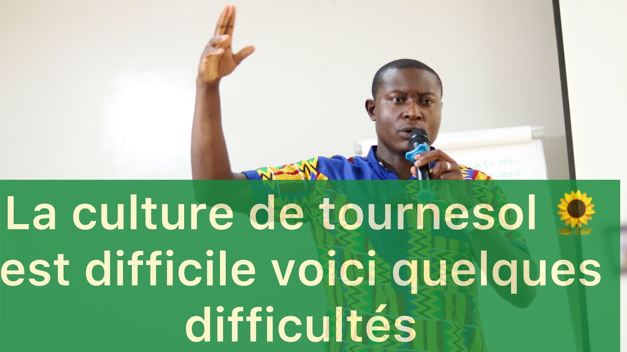 10 DIFFICULTES SUR LA PRODUCTION DE TOURNESOL EN AFRIQUE