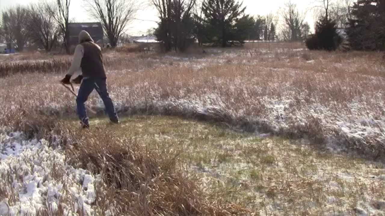 Polar Vortex Scything (full version)