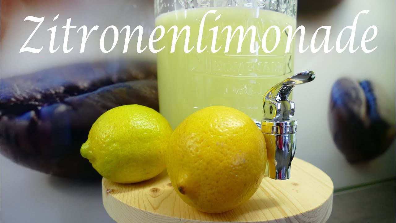 Thermomix® TM5  Zitronenlimonade