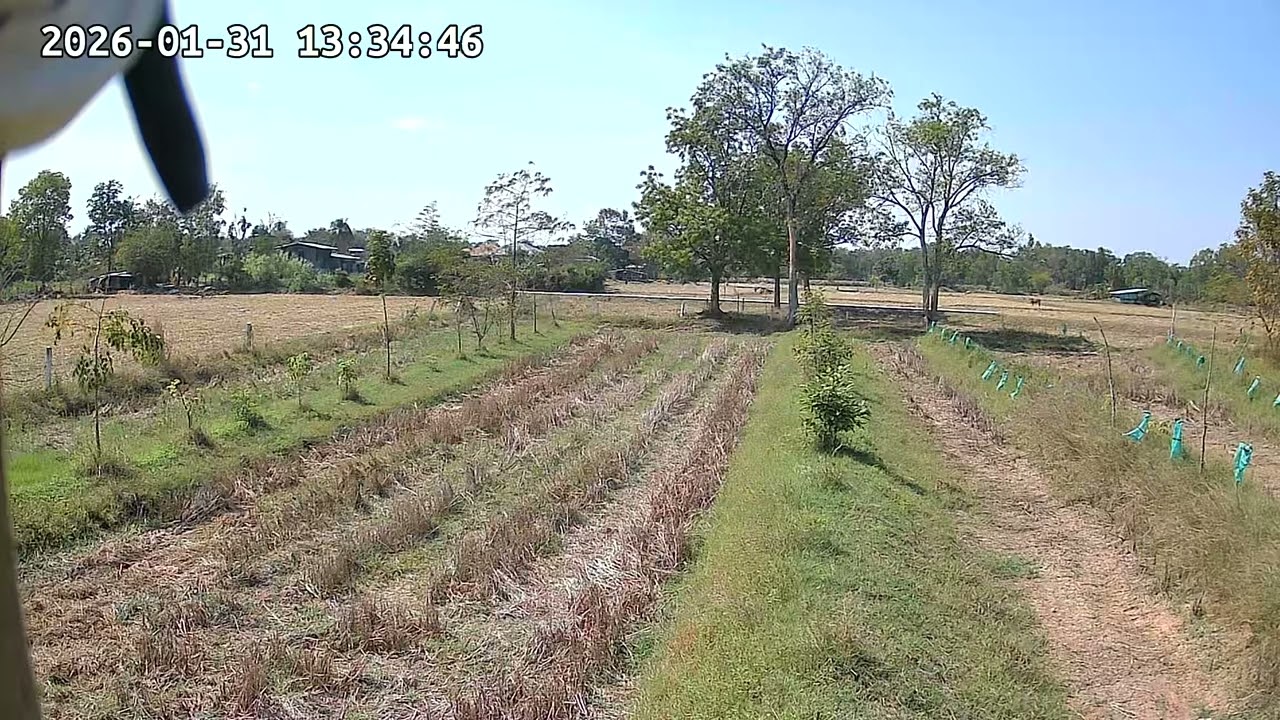 ‎31 ‎มกราคม ‎2569, ‏‎133901