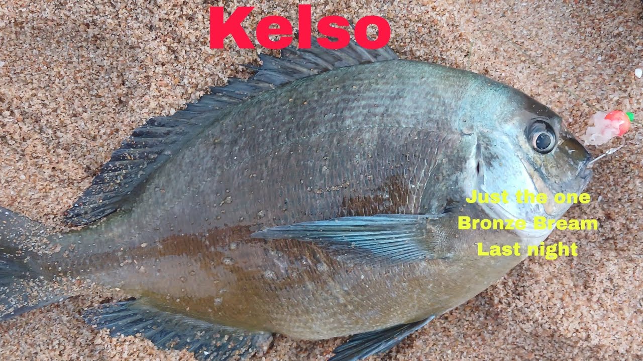 OFFROAD4LIFE, Fishing in Kelso, KZN South Coast, for Kob Stumpie and Bronze Bream. 